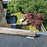 Rosenzauber Gipfelstürmer