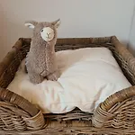 Apartamento Rosenzauber Gipfelstürmer *