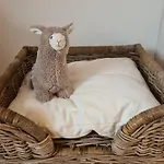 Apartamento Rosenzauber Gipfelstürmer *
