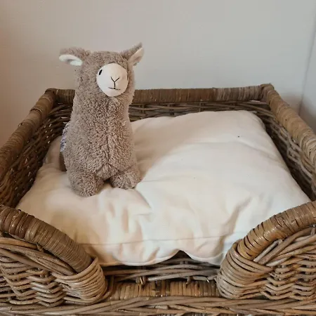 Apartmán Rosenzauber Gipfelstuermer *